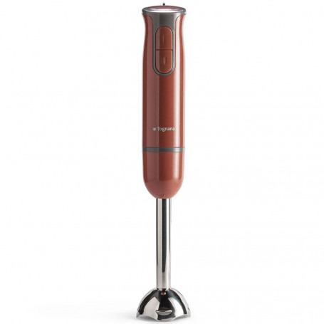 TOGNANA FRULLATORE IMMERS 600W ROSS