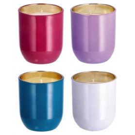 CANDELA PROF+VASO VET 7XH8
