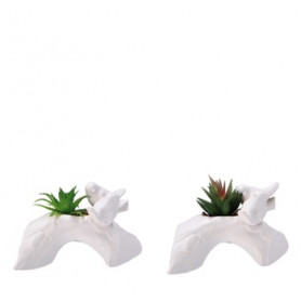 PIANT GRAS+DEC CER A2M CM13X8XH9